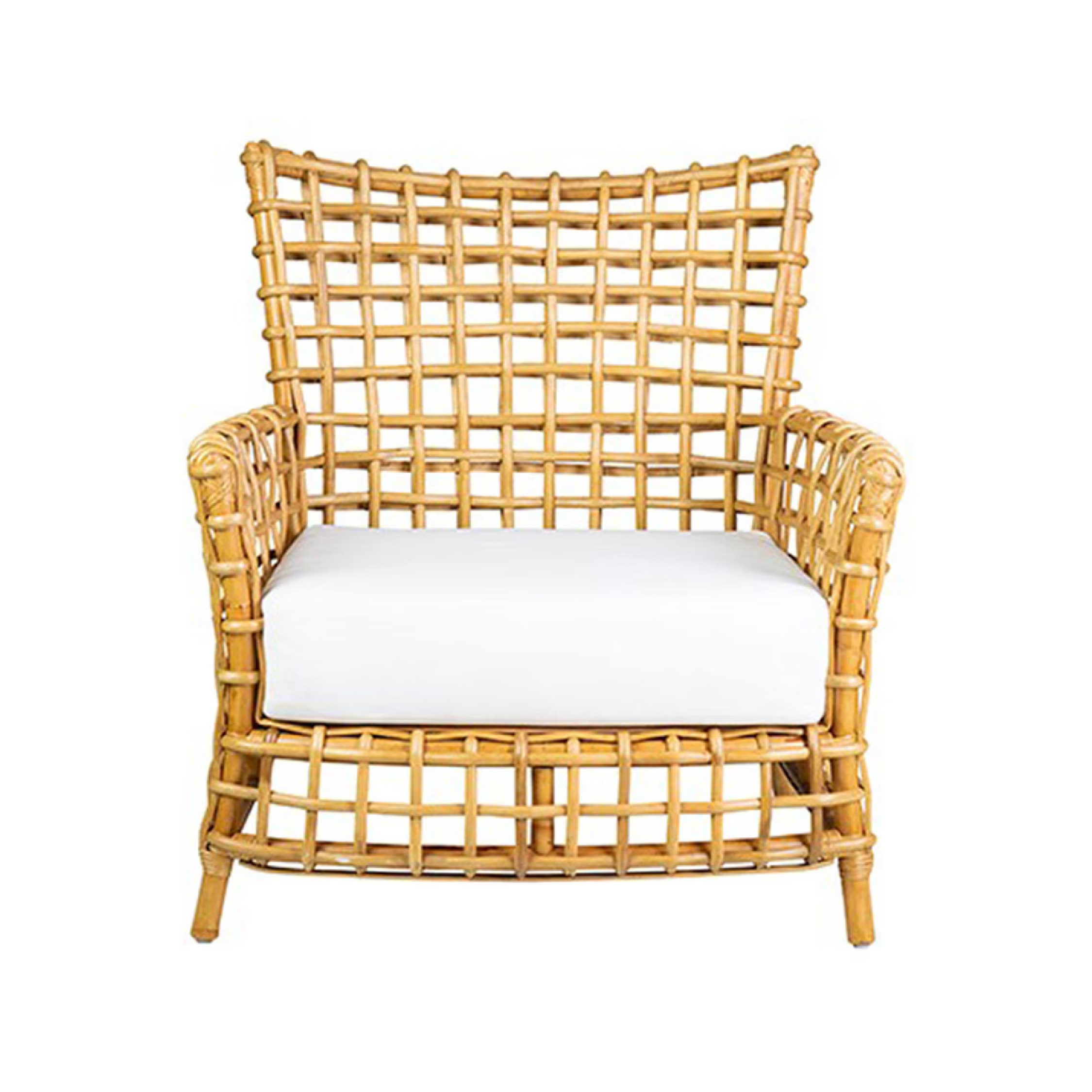 Bahama Occasional Arm Chair (Nature) - Imagen 3