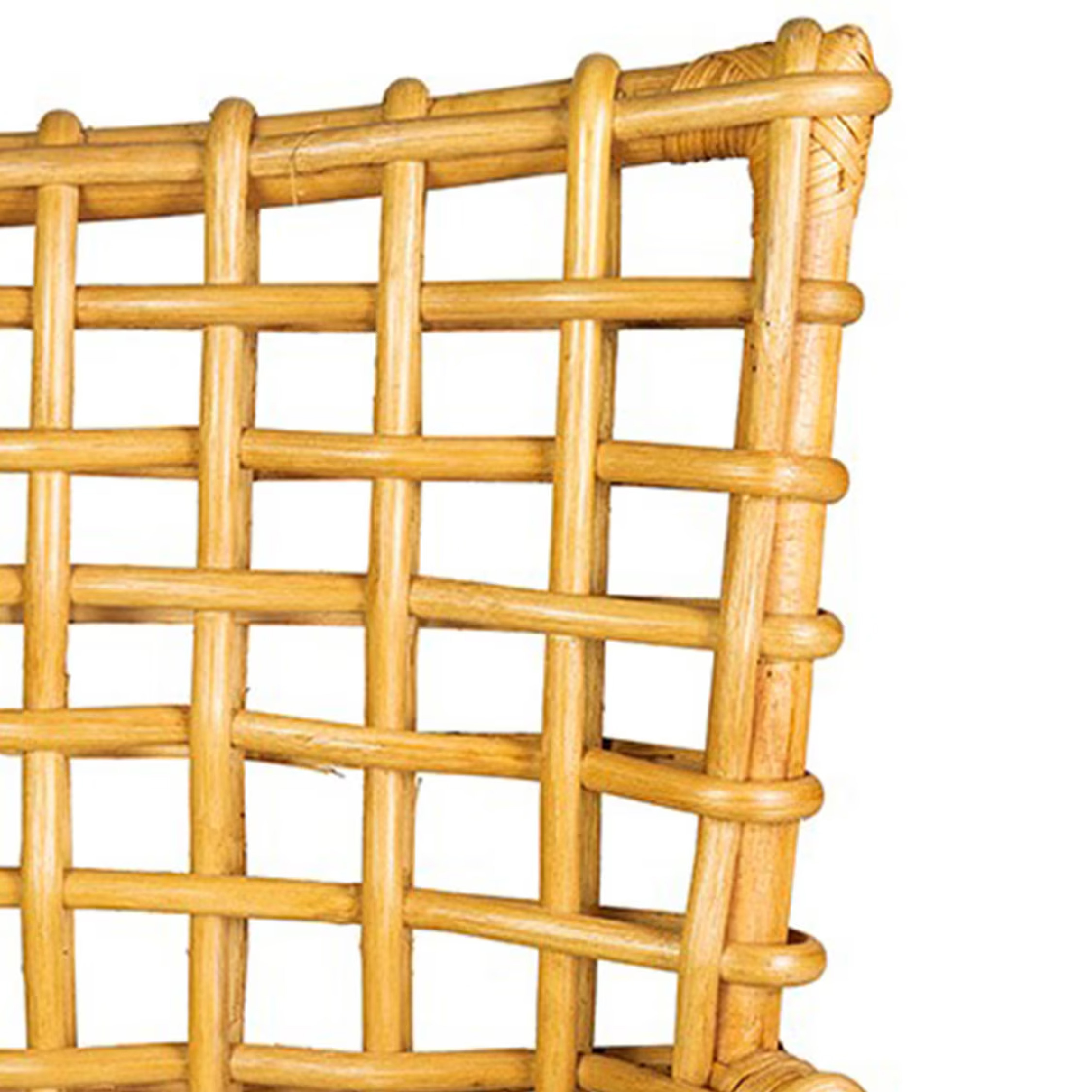 Bahama Occasional Arm Chair (Nature) - Imagen 7